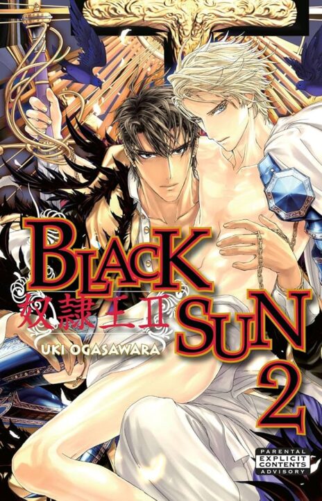 BlackSun EN Cover Image