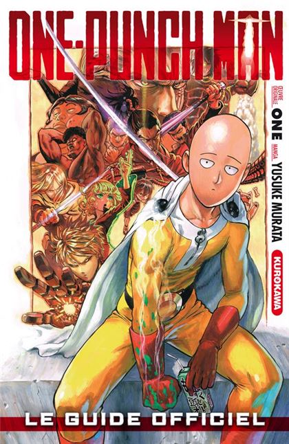 One Punch Man FR Cover Image